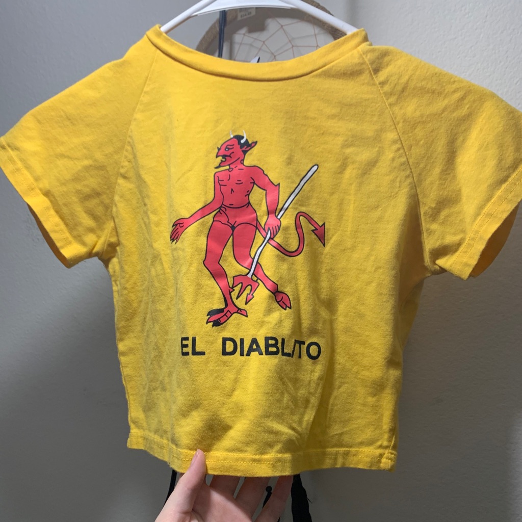 Devil Crop Top